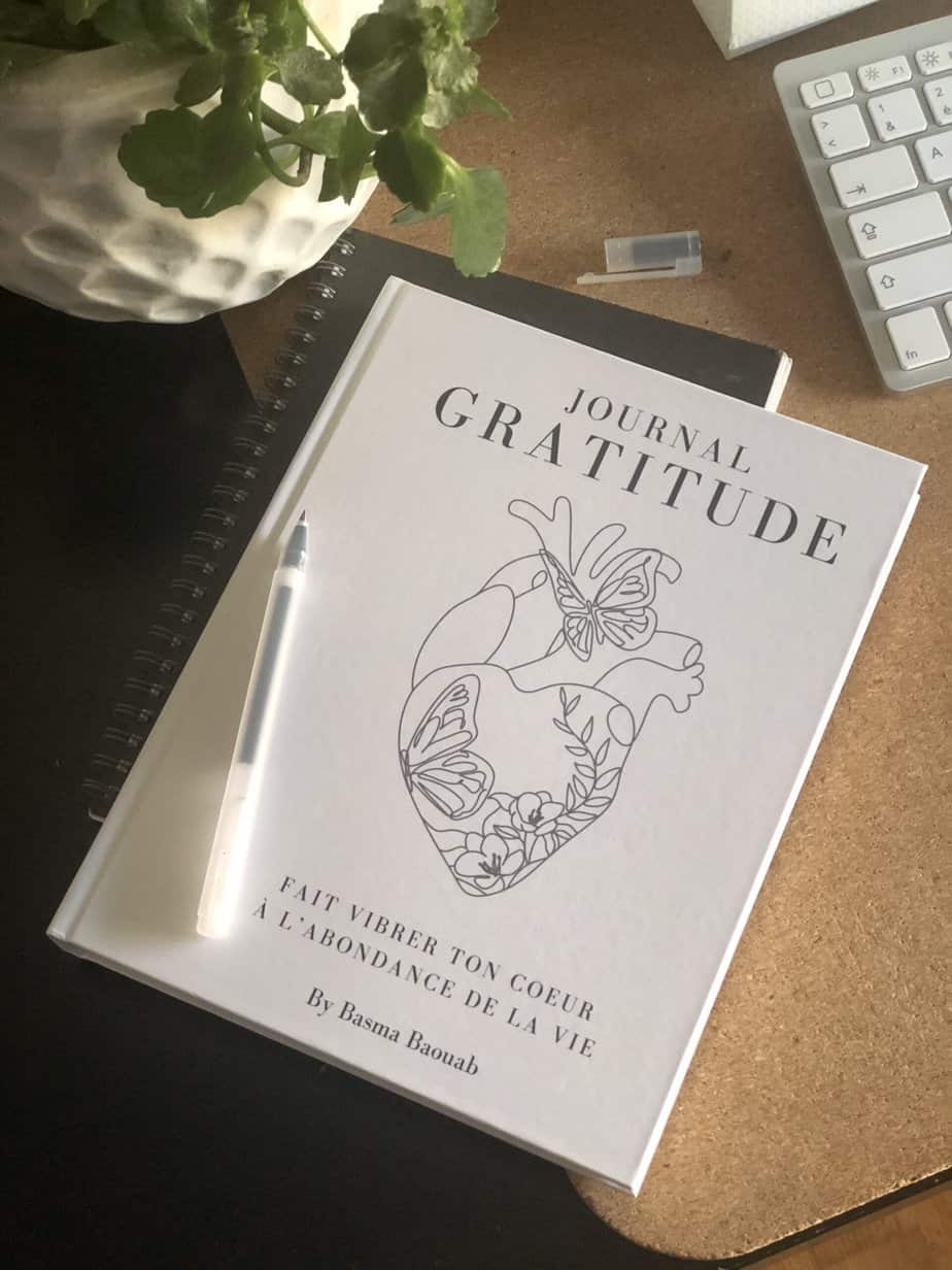 Journal de Gratitude : votre guide quotidien - Image 4